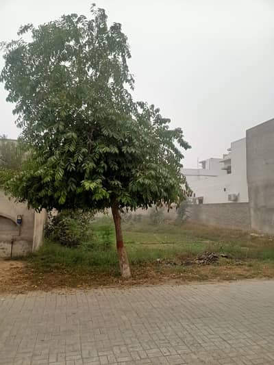 47 Marla Plot Available For Sale in Paradise Vallye Canal Road Faisalabad
