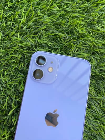 Apple iPhone 12 mini