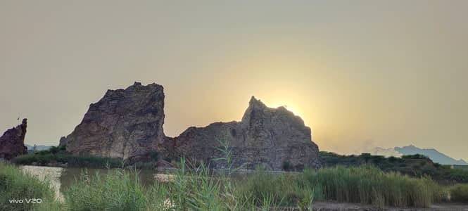 vivo v20 8GB 128 9/10 condition complete box