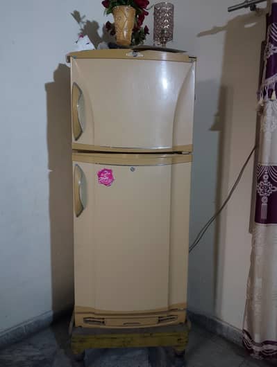 ایک عدد فریج ارجنٹ سیل ہے