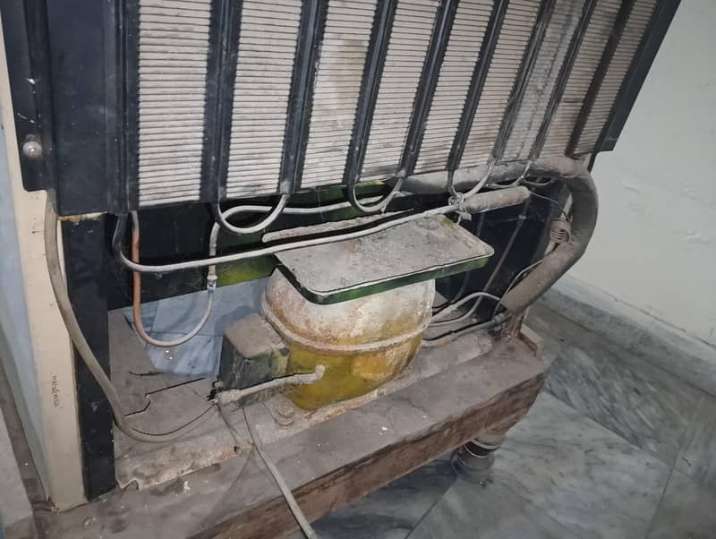 ایک عدد فریج ارجنٹ سیل ہے 1