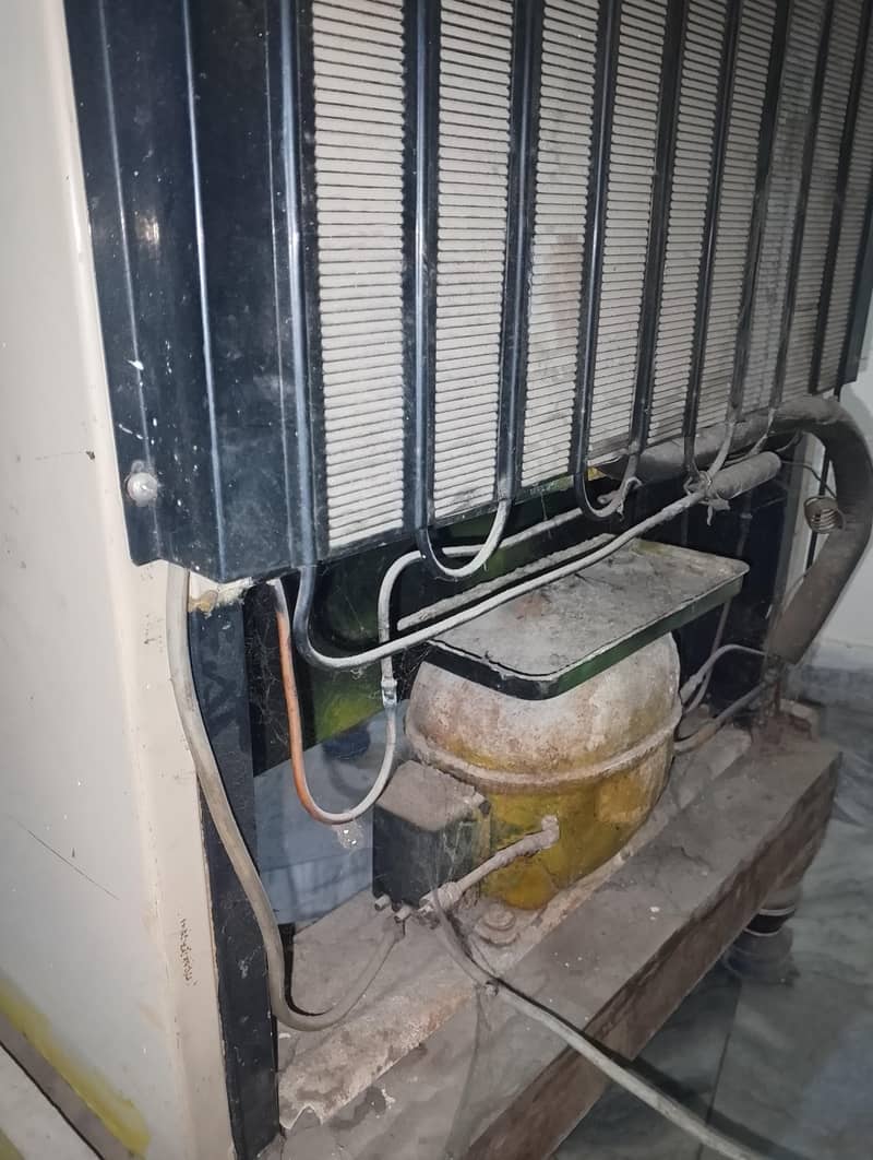 ایک عدد فریج ارجنٹ سیل ہے 6