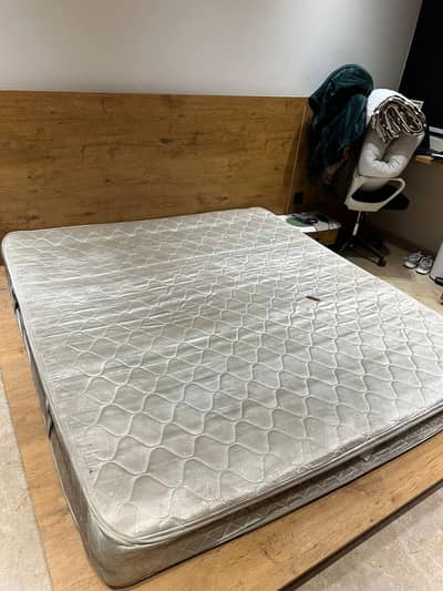 Master Celeste Spring Mattress