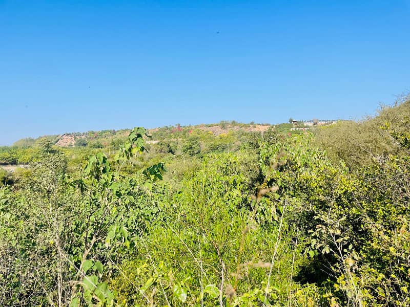 Level & Possession Plot Sector D | Extra Land 7