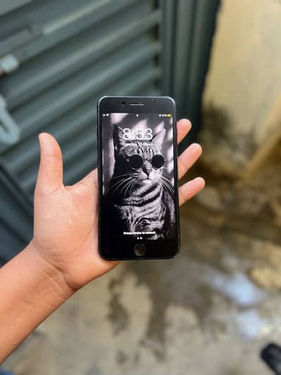 iphone 7 plus all ok