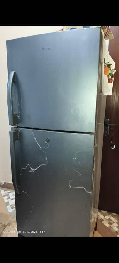 haire fridge medium size
