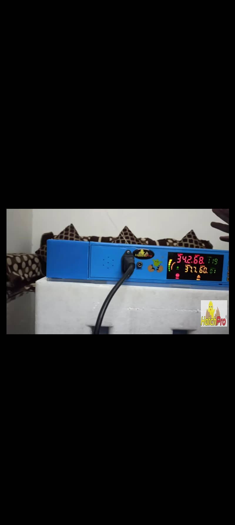 incubator intelligence imported 1