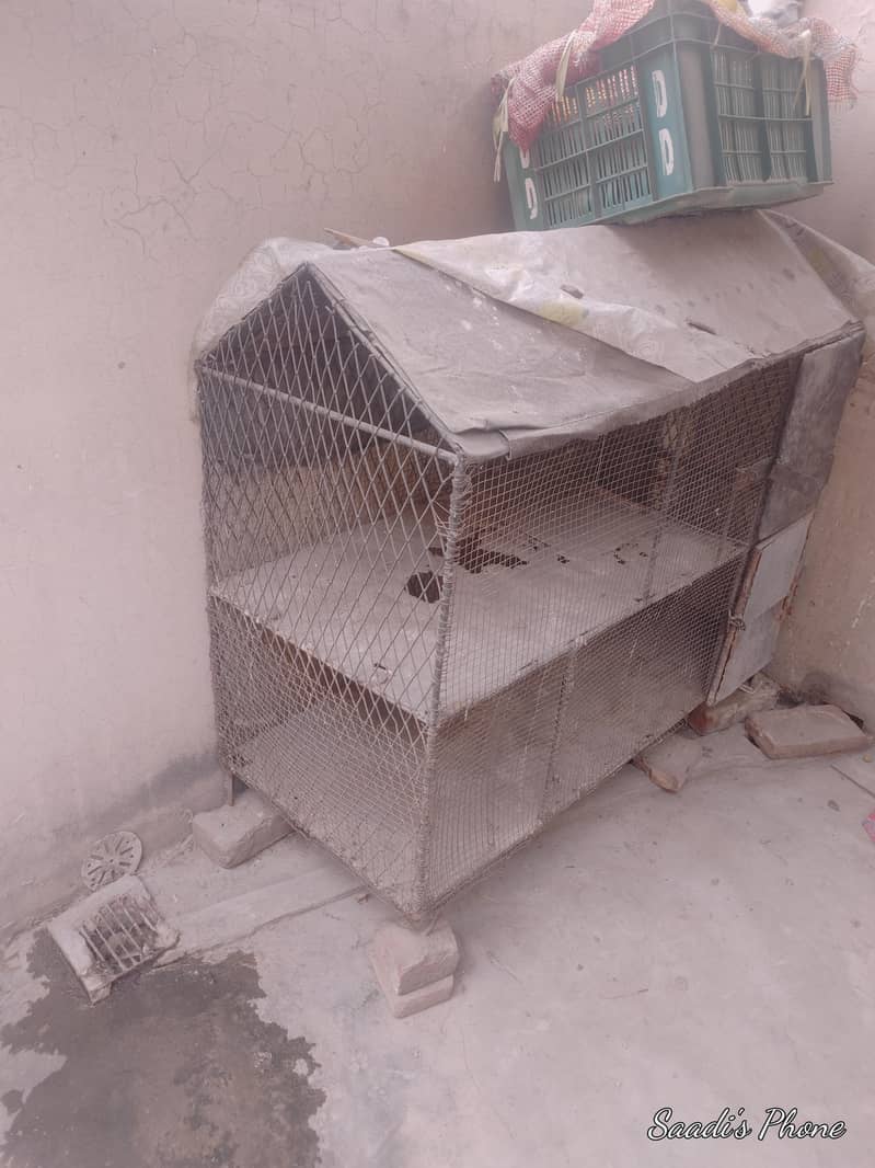 cages 1