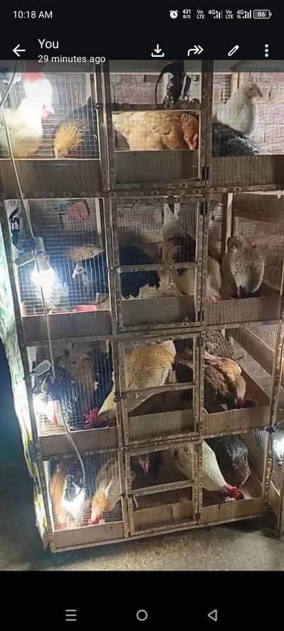 concession ho sakti he