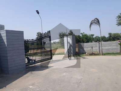 Perfect 1 Kanal Residential Plot In Lahore Organic Farms For sale