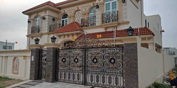 Electric Security Fence , System and Gate Automation in lahore