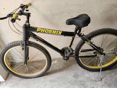 Phoenix Cycle big tyre