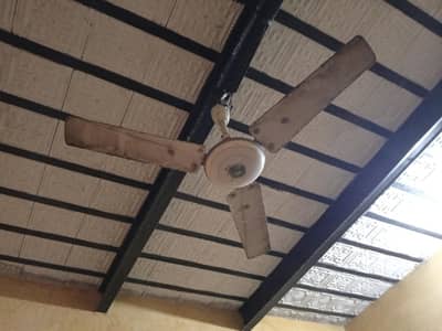AC FAN