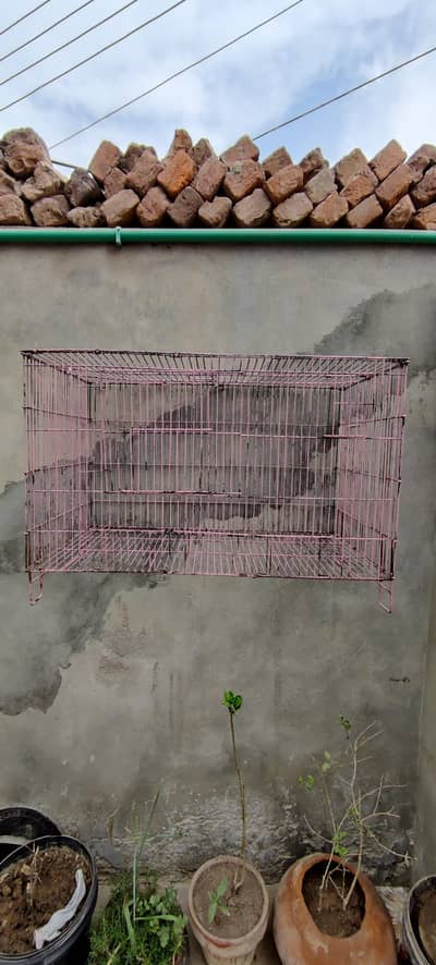 “Heavy Duty Bird / Pet Cage – Large Size | Excellent Condition”