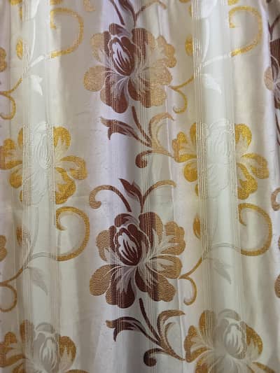 Three  ( 3 )big size curtains.