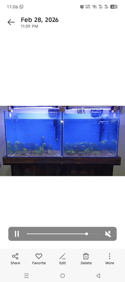 Aquarium for sale
