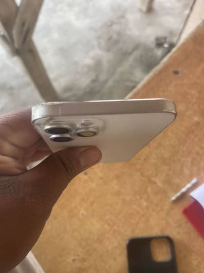 12 pro max pta/03016800056