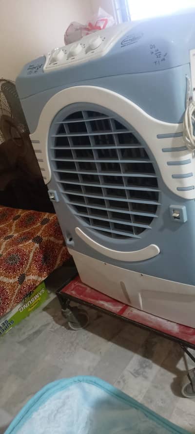 Super asia Room collar