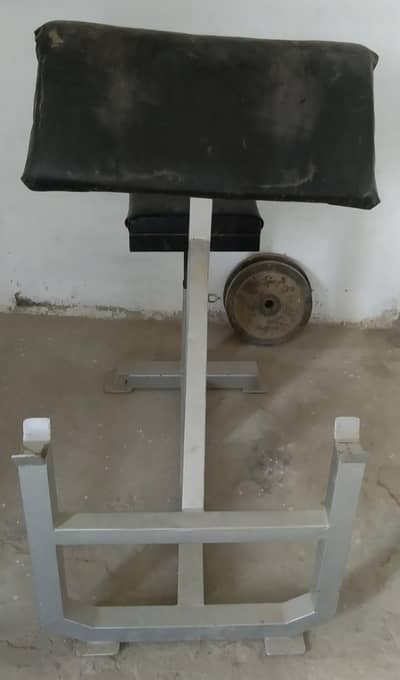 bicep curl 03188625510