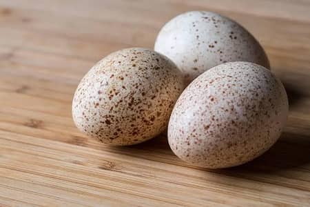 Turkey fresh eggs available