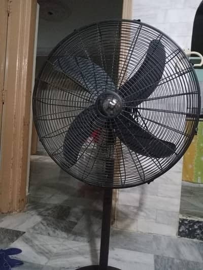 Pak Pedestal Fan 24 Inch Myga Copper Winding Heavy Duty Motor Brand