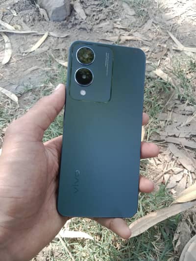 vivo y17s urgent for sale 6 128 contact 03037186236 only wtsp