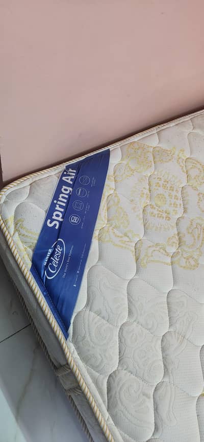 Master celeste spring air size 4 by 6 *