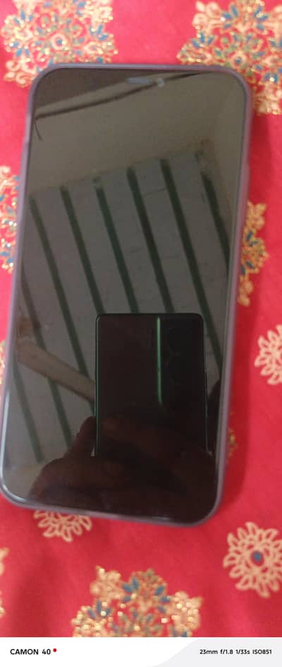 IPhone 11  ( red color)