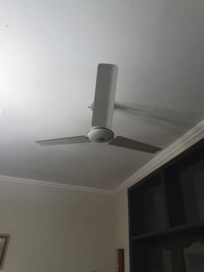 CEILING FAN
