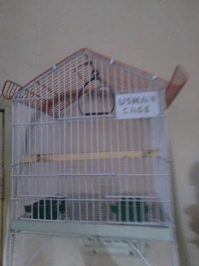 birds cage