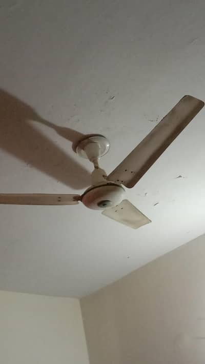 Ceiling fans AC fans