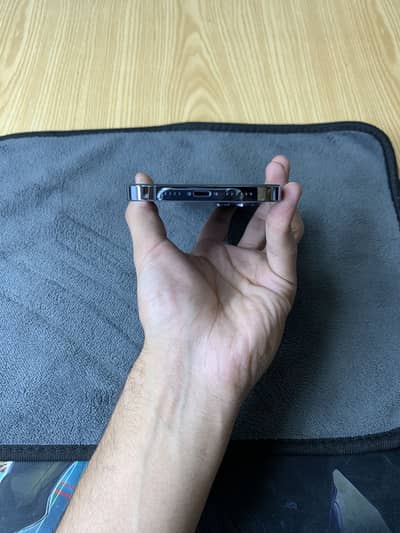 iPhone 13 Pro Max (256GB)