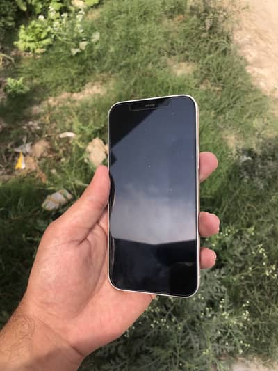 Iphone 12 PTA approved