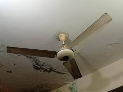 I want to sell pak fan urgent