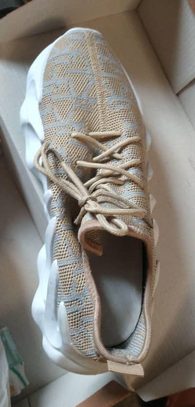 Yeezy Cloud Walking Edition