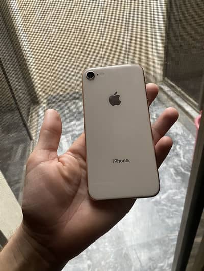 8 pta approved 03287486384