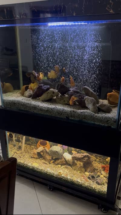 Complete setups for sale