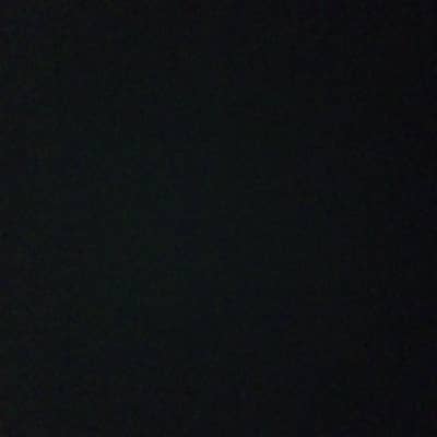 ANYONE GET ME A PERSIAN KITTEN FOR FREE PLZ 