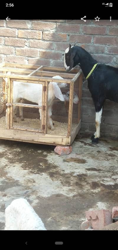 dasi tadi bakri with 2kids