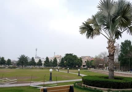 10 Marla Good Location Plot in E Block