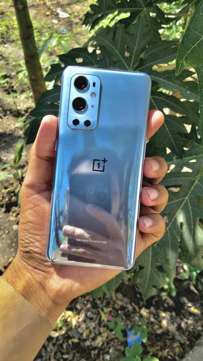 12+12/256gb 5G pta approved waterpack 10/10 screechless