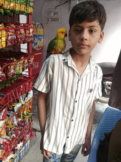 Sun Kannur hand tame piece