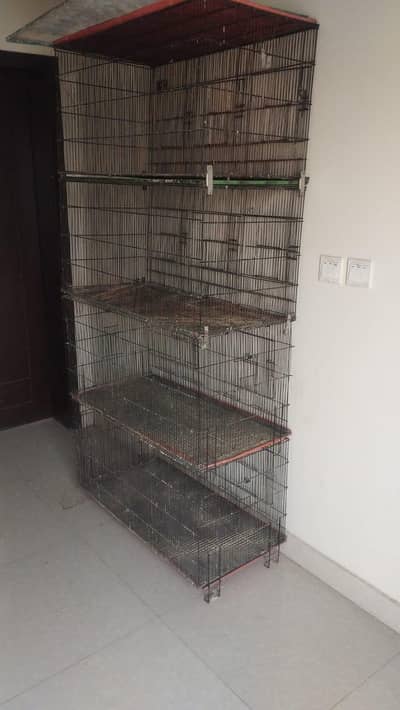 folding cage