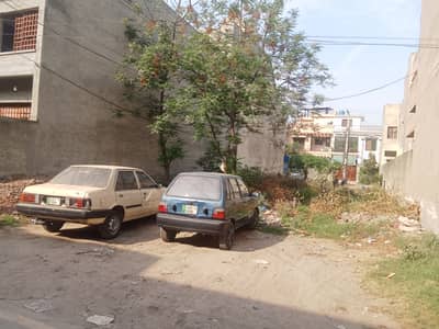 10 male plot for sale