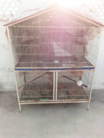 Hen Cage
