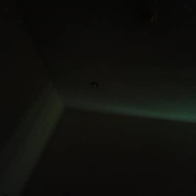 Product hunter/Marketer