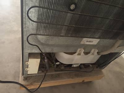 Haier Glass door refrigerator