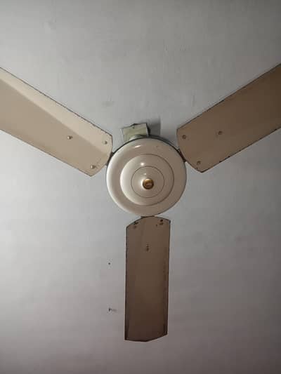 celing Fan