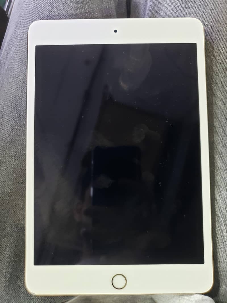 ipad mini 4 box 1