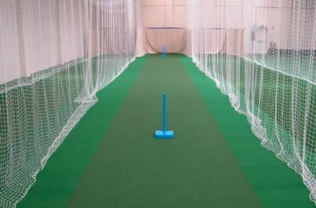 cricket net